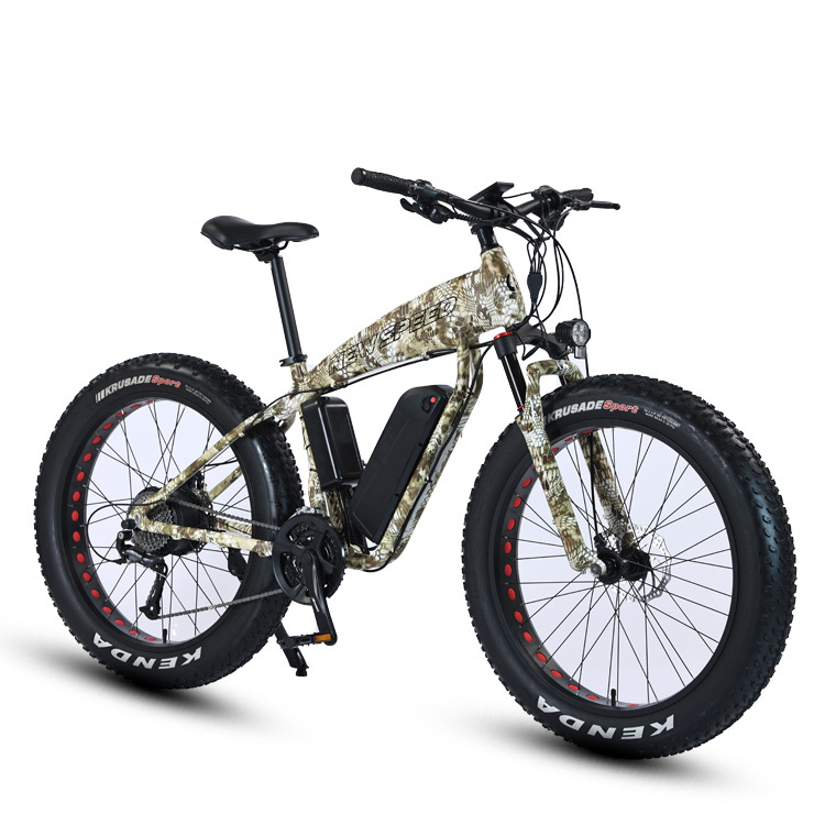Cheap CE Ebike Big Tires Fat