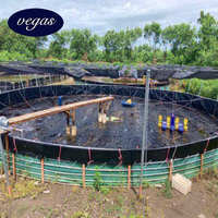 Géomembrane HDPE LDPE résistante et imperméable de 0,3 mm, 0,5 mm, 0,75 mm, 1 mm, 1,5 mm, 2 mm pour revêtement de réservoirs et bassins de lotus en parc