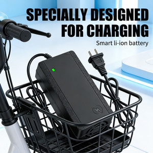 Cargador de Batería de Alta Calidad 72V20Ah, Cargador de Bicicleta Eléctrica 48V para Scooter Eléctrico, Dos Lámparas, Batería de Plomo-Ácido - Product Image 5