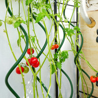 Support en spirale pour tomates en acier galvanisé réutilisable de haute qualité avec un design moderne