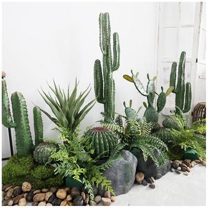 Plante Artificielle Personnalisée pour <span class=keywords><strong>D</strong></span>écoration Murale, Arrière-plan de Gazebo Extérieur, Vente en Gros de <span class=keywords><strong>Cactus</strong></span> Artificiels - Product Image 4