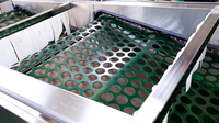 Boerderijgebruik RVS sorteermachine kastanje sorteermachine gatband type champignon sorteermachine