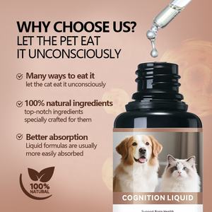 Gocce per la Cognizione di Cani e Gatti, Integratore per la Salute del Cervello, DHA Liquido per Animali Domestici, Gusto Personalizzato, Cura del Sistema Immunitario - Product Image 6