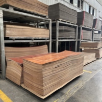 Revêtements de porte en HDF/MDF imperméables de haute qualité, placages de porte en bois de haute qualité, surface de porte en MDF à bas prix