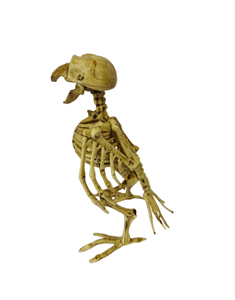 Manufacturers Wholesale High Quality Popular <b>Plastic</b> Birds Toys <b>Animal</b> Skeleton Model <b>Plastic</b> Halloween Crafts - Product Image 2