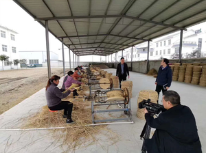 Tisser de cordes à balles agricoles pour pailles et joncs avec moteur et engrenages, haute productivité, capacité de 300-500 m/h pour la liaison agricole - Product Image 5