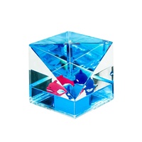 Logo personnalisé 3D résine poisson flotteur acrylique carré boule à neige 65mm liquide eau huile cubique presse-papiers bureau ornement décor cadeaux