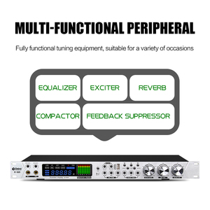Debra-Micrófono de mano con sistema de efectos de karaoke, procesador DSP, preetapa de minería de audio, reverberación, interfaz óptica USB - Product Image 2