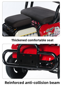Home Use Elderly Mobility Tricycle Adjustable Sitting Position Electric Trike - Product Image 4