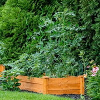 Tomate plantes en croissance Support métal galvanisé fil d'acier couleur verte peinture jardin fleur vente de courrier en ligne treillis Creepers