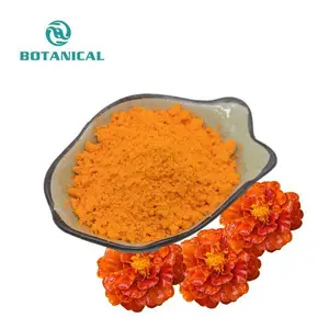 Vente en gros de poudre d'extrait de souci Fleur de souci orange 10%-80% Lutéine de zéaxanthine