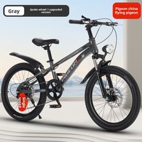 Vélo de montagne Feige pour enfants de 20 pouces à une vitesse avec frein à disque et suspension de fourche pour garçons, filles et adolescents plus âgés