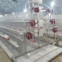 Cages à poules pondeuses pour 5000 oiseaux, type cage à poules pondeuses, cages en batterie pour volailles, poules pondeuses