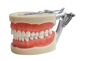 Gelsonlab HSDT-A10 estándar dientes desmontable modelo Dental suave goma de mascar dientes modelos de pantalla <span class=keywords><strong>para</strong></span> estudiantes de enseñanza estudio - Product Image 2