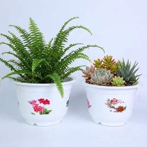 Macetas Decorativas Modernas de Alta Calidad, Macetas de Plástico Moldeadas por Inyección con Patrones Florales Vibrantes, Proveedor de Venta al por Mayor - Product Image 5