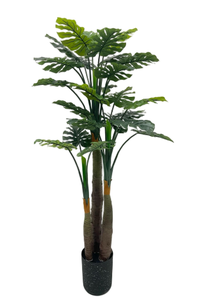 พืชเขตร้อนตกแต่งในร่มพืชเทียมมูซาบาสจูบานา - Product Image 2