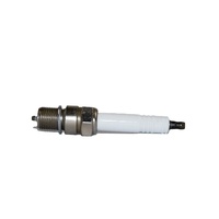 Bougie d'allumage industrielle de haute qualité, 20 pièces, pour modèles p3.v3 347257 320 genbacher gs 351000 p7.1 v5 industriel