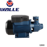 Pompe à eau électrique auxiliaire, 0.5hp, QB60, pour le jardin