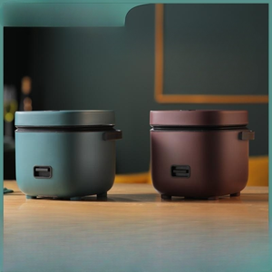Appareils électroménagers, petits appareils de cuisine, cuiseur à riz portable avec cuiseur vapeur 1,2 L 200 W, mini cuiseur à riz, petits appareils électroménagers pour la cuisine - Product Image 5