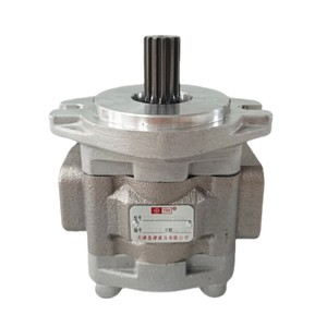 Bomba de engranajes Jixinxiang de 250 bar y 1 etapa para montacargas diésel de 4T, bomba hidráulica YY0002265 - Product Image 3