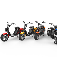 Motocicleta Eléctrica para Adultos, Scooter Eléctrico Citycoco de Bajo Consumo, Batería Nueva