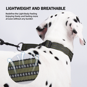 Collare per Cani Personalizzabile Riflettente Anti-Smarrimento con Targhetta Identificativa Regolabile per Cani di Taglia Media e Grande - Product Image 4