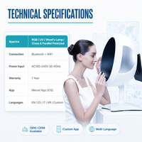 Analyseur cutané portable professionnel à 12 modes pour clinique dermatologique, scanner facial, vente en gros