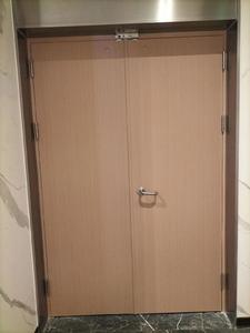 Cửa chống cháy nội thất cho các tòa nhà cao tầng được sử dụng trong phân phối điện và phòng chữa cháy - Product Image 2