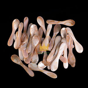 Cuillère moderne écologique en nacre 9x1cm – Meilleures ventes – Coquillages de capiz – Matériau naturel – Décoration – Articles de service – Origine Vietnam - Product Image 4
