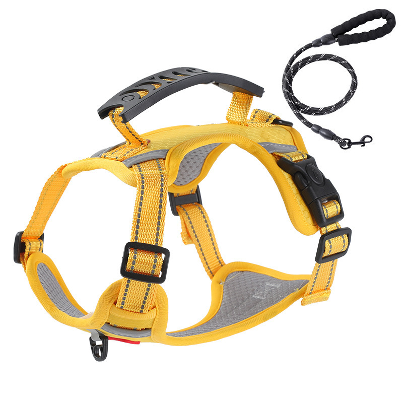 Giallo [petto posteriore + corda riflettente 1.5 metri