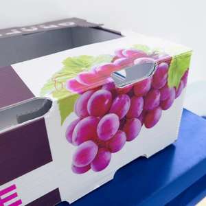 <span class=keywords><strong>Caja</strong></span> de volumen de almacenamiento de frutas y verduras plegable PP corrugado blanco de fábrica con impresión de logotipo <span class=keywords><strong>Caja</strong></span> De Plástico <span class=keywords><strong>Caja</strong></span> De envío - Product Image 4