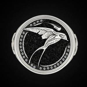 Bague pour homme F547 avec motif d'aile et micro-pavé de zircon cubique, bijou tendance, cadeau - Product Image 2
