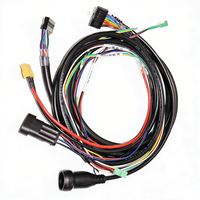 Kabel Listrik dan Kabel Harness 2.5mm yang Disesuaikan dengan Harga Lebih Rendah, Rakitan Kabel dan Harness