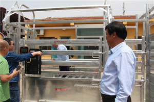 Nhiệm Vụ Nặng Nề 2000kgs Chăn Nuôi Nông Dân Gia Súc Bóp Chute Quy Mô - Product Image 4