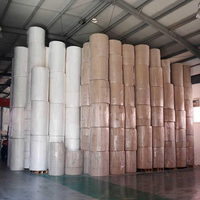 Bobines mères de papier toilette et de papier hygiénique en matières premières vierges pour la fabrication (Jumbo/Parent Rolls)