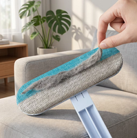Rouleau brosse anti-poils ergonomique multifonctionnel à main en ABS avec poignée confortable et réutilisable pour le ramassage des poils