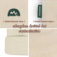 Bonnet en tricot jacquard personnalisé, unisexe, bord plié, chaud pour l'hiver, motif de dessin animé, décoration avec nœud, impression de logo, pour adultes