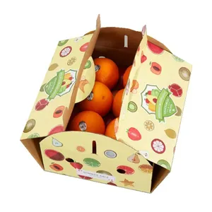 Customized Printed 5-Ply Corrugated Avocado Fresh Fruit Packaging Box Shipping Boxes