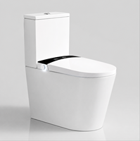 WC intelligent de luxe à deux pièces avec eau chauffée instantanée, télécommande et double filtration