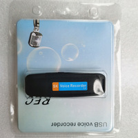 Perekam Suara Digital Mini USB Harga Terjangkau dengan Fitur Rekam Berulang dan Flash Drive Format WAV