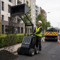 S460 Mini-Radlader Euro 5 EPA CE-Zertifiziert Kleiner Radlader für Schneeräumung Bau Landschaftsbau
