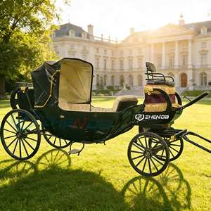 Carrozza Elettrica a Quattro Ruote per Visite Turistiche, Auto Nuziale Nuova di Zecca in Offerta Speciale, <span class=keywords><strong>Numero</strong></span> di Posti e Colore Personalizzabili. - Product Image 1