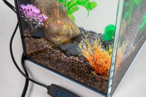 リラックスライン豪華な生態デスクトップ水族館小型ガラス魚繁殖タンクLEDライト水フリーデザイン5Wパワーボックスパック - Product Image 3