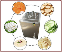 Máquina Cortadora y Rebanadora Multifuncional de Plátano, Vegetales, Banana y Patata para Hacer Chips Crujientes, 300-500 kg/h, Pequeña
