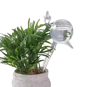 Dispositivo de rega automática de vidro para plantas e plantas em forma de caracol transparente para jardinagem