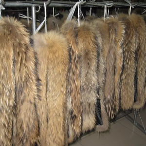 Cuello de piel para mujer, pieles reales, perro mapache, piel de Animal Real, ropa, uso de collares de piel - Product Image 2