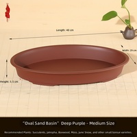 Pot de fleurs ovale peu profond en résine de grand calibre pour plantes succulentes, conteneur hydroponique non perforé pour jardin domestique et extérieur