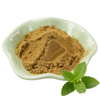 Poudre de menthe poivrée OEM ODM 100% naturelle, extrait d'herbes, complément alimentaire végétalien pour adultes, mélange culinaire polyvalent, Source Usine