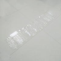 Piège à souris transparent et collant en cristal, tapis répulsif pour souris, piège à colle pour serpents, contrôle magique des animaux, bande attrape-souris solide