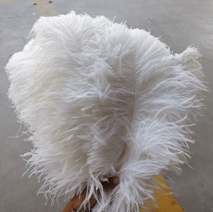 60cm 65cm Plume Home <strong>Decor</strong> White Ostrich <strong>Feather</strong> for Party Supplies Floral Vase DIY Craft <strong>Wedding</strong> Centerpieces Carnival Costumes - Product Image 2